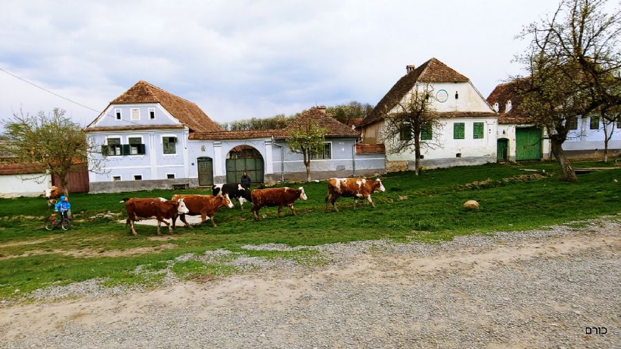 רומניה פסח 2019
